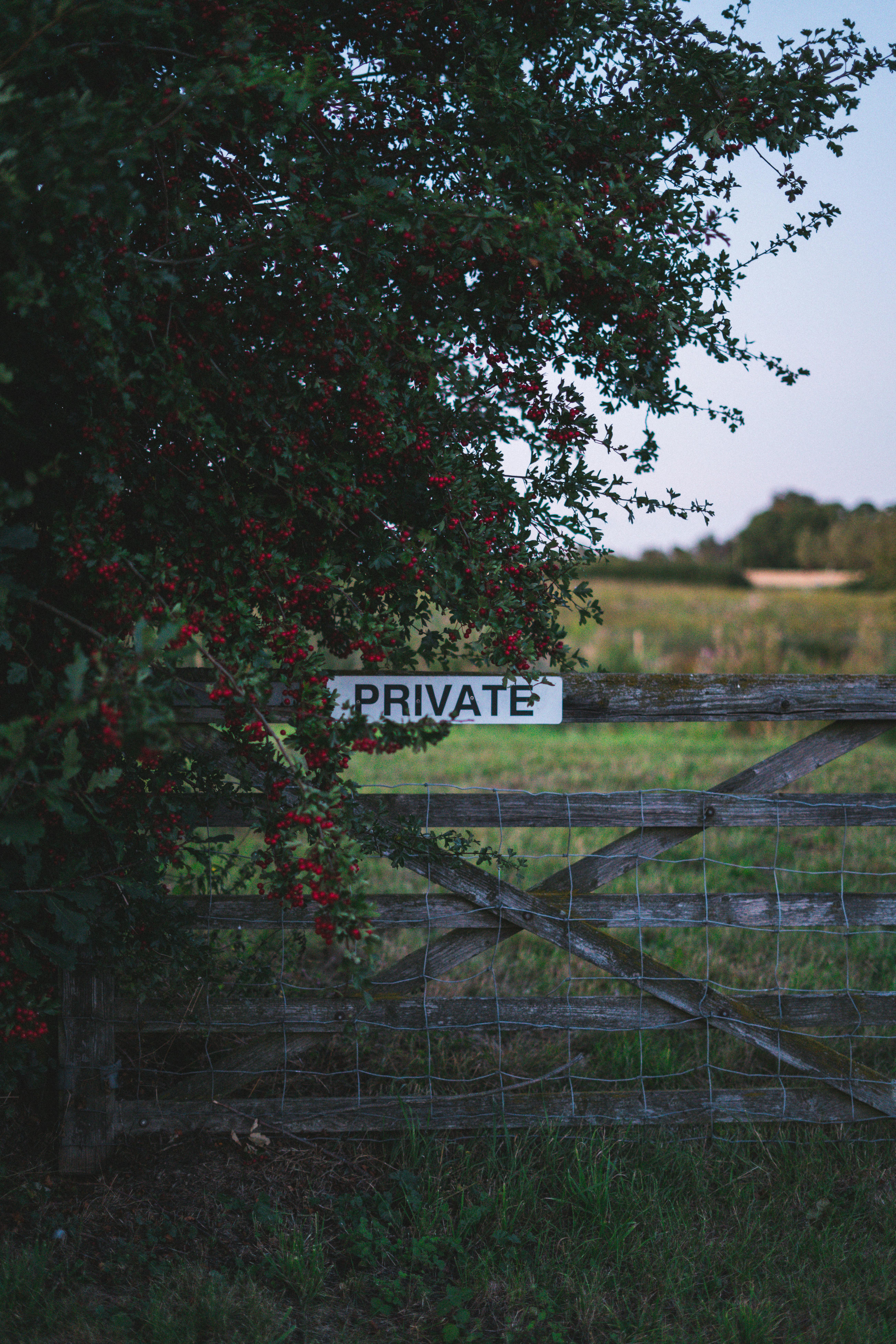 Wooden fence with private sign and red berries in a rural garden landscape
